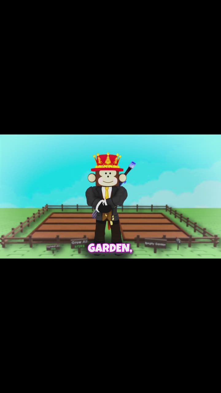 jandel vs sammy full intro